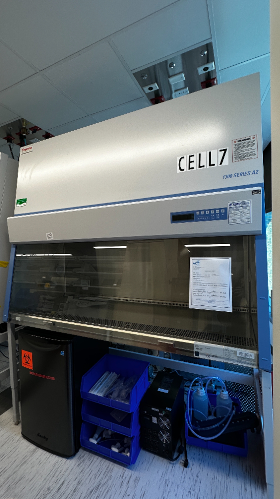 Image of Thermo Scientific 1300 Series A2 BSC- 6ft